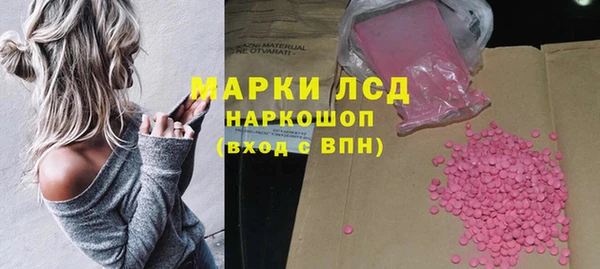 индика Новосибирск
